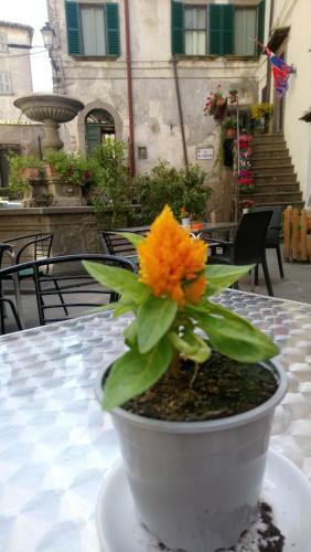 Apartamento Bomarzo Bed & Better