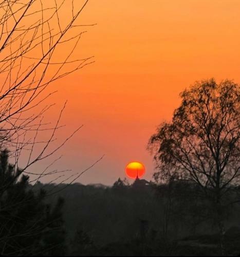 Bed & Breakfast Haarles Landleven