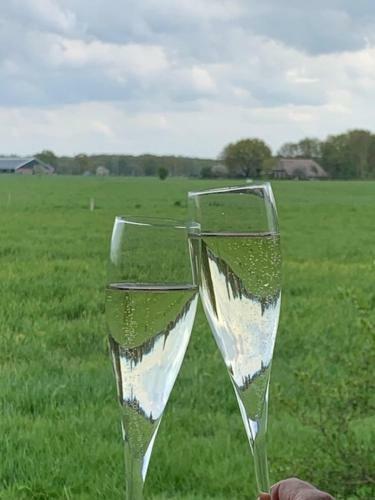 Bed & Breakfast Haarles Landleven