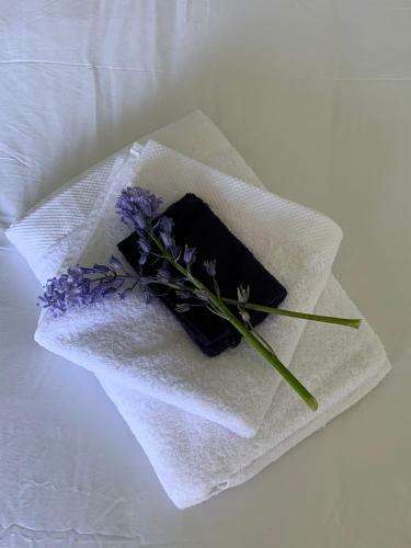 Bed & Breakfast Haarles Landleven
