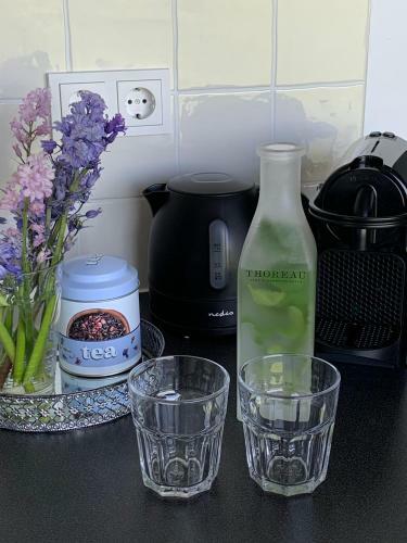 Bed & Breakfast Haarles Landleven