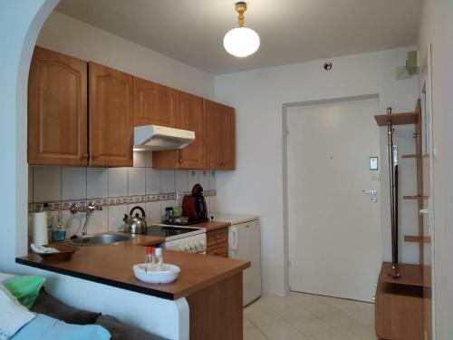 Apartament W Centrum Che?ma