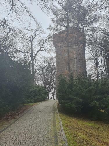 Apartamenty Magiczna Wenecja
