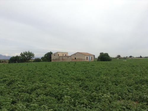 Casa Rural Lo Soto