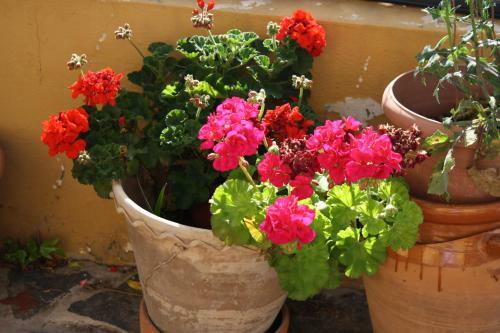 Casa Rural Lo Soto
