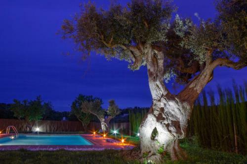 Holiday Villa Juamar