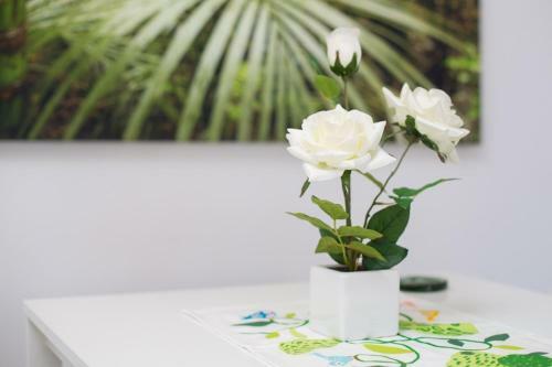 Apartamento H�rcules