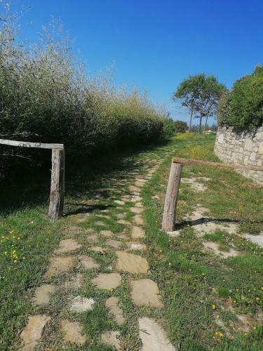 Apartmaji Villa Cedole