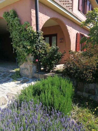 Apartmaji Villa Cedole