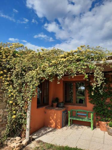 Apartmaji Villa Cedole