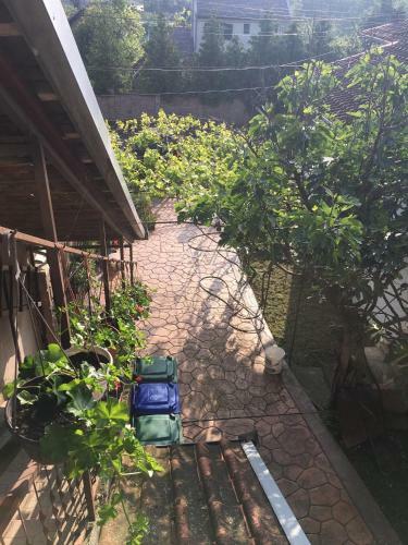 Apartman Flora