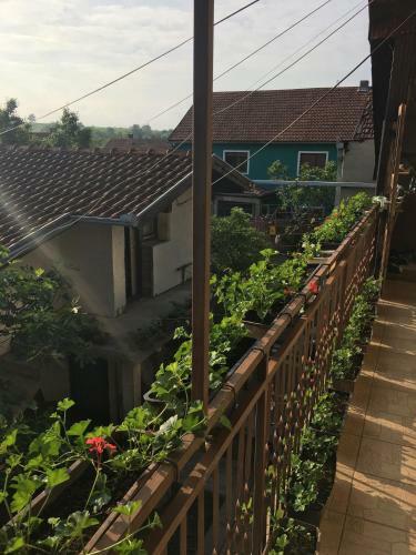 Apartman Flora