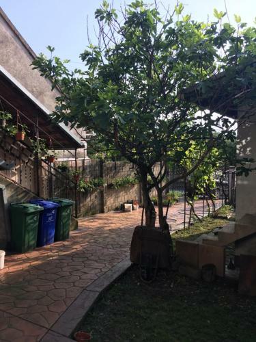 Apartman Flora