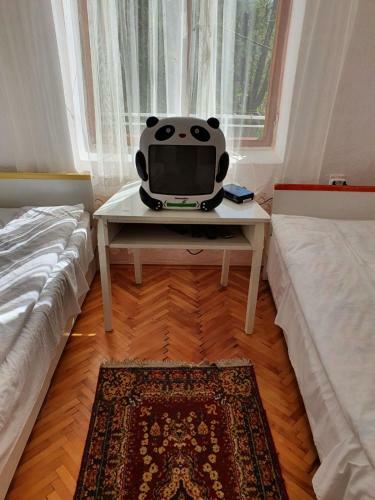 Hostal Nesovic