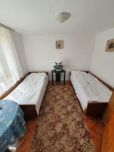 Hostal Nesovic