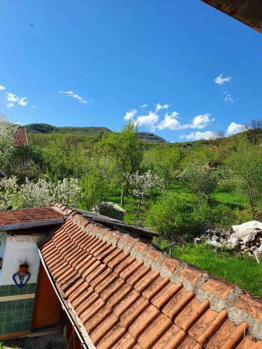 Hostal Nesovic