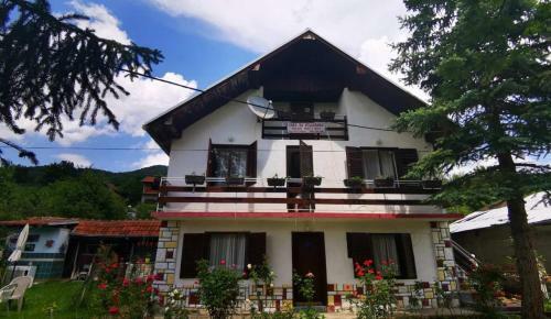 Hostal Nesovic