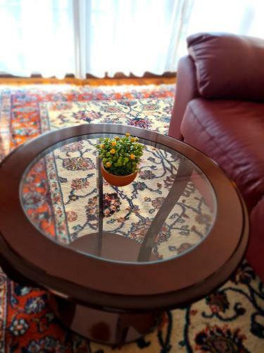 Zlatibor Vila Apartman