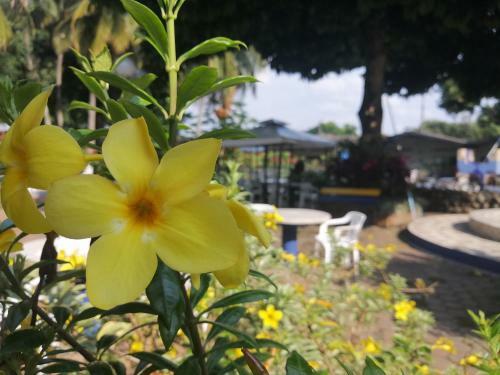 Hotel Las Acacias