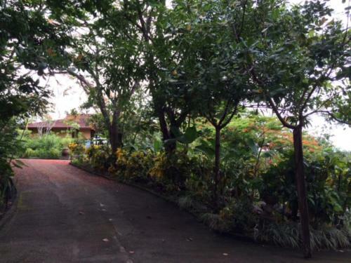4 Architectural Homes, Pool And High-speed Internet