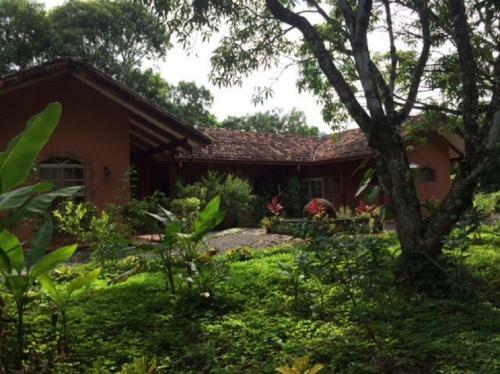 4 Architectural Homes, Pool And High-speed Internet