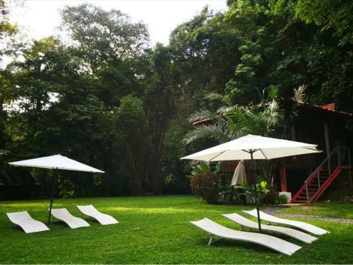 Backyard Party Hostel