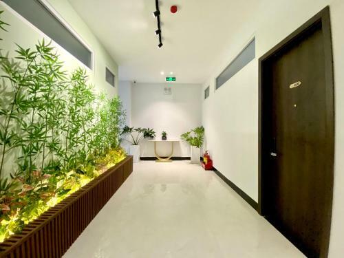 Rosella Apartment