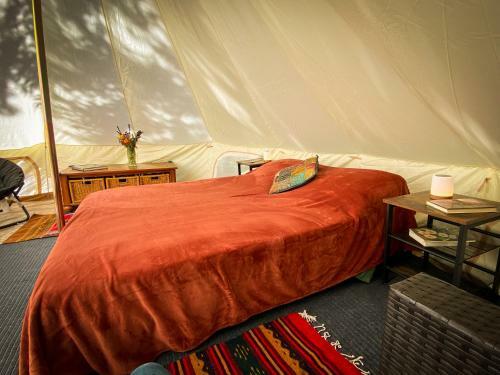 Glamping In The Redwoods
