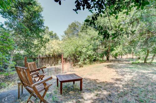 Warm Springs Oasis