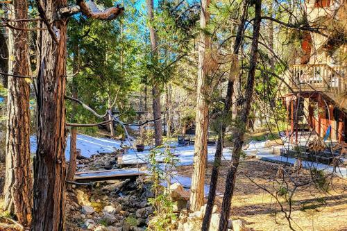 Paradise In The Pines