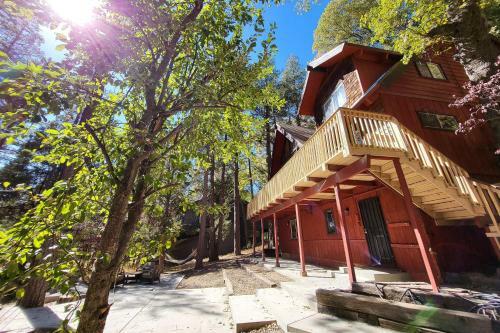 Paradise In The Pines