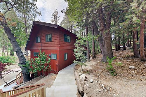 Paradise In The Pines