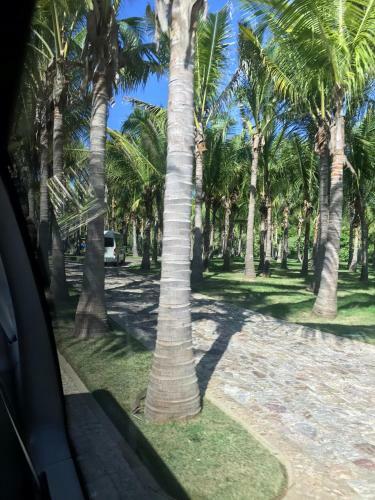 Apartamento Golf Access Inside The Gates Of Punta Mita & More