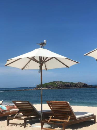 Apartamento Golf Access Inside The Gates Of Punta Mita & More
