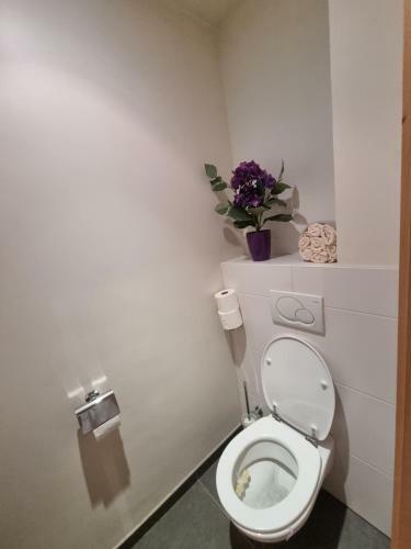 Apartamento Susberg-1234