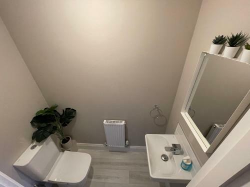 Brand New Sleeps 7 Free Parking Contractors Welcome