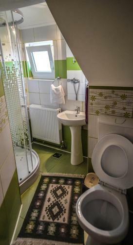 Hostal Pensiunea Poienita Ursului