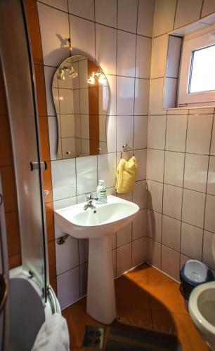 Hostal Pensiunea Poienita Ursului
