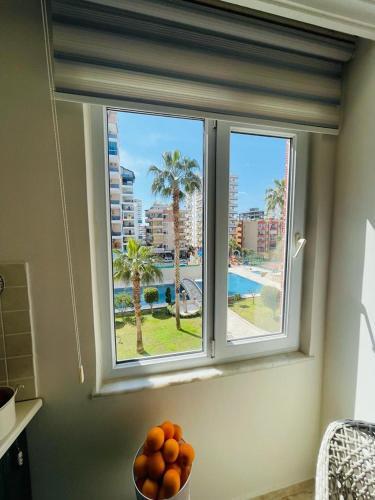 Apartamento Toros