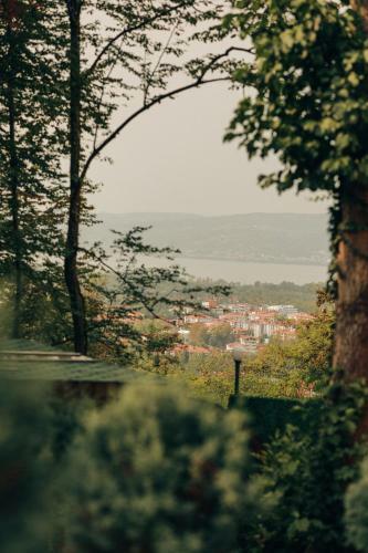 Sapanca Casamia Suit