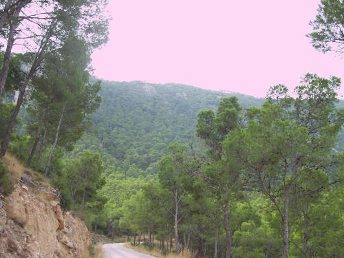 Albergue Aljibe De Monastrell