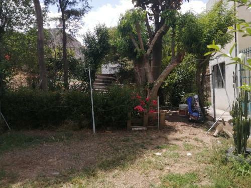 Apartamento Lina