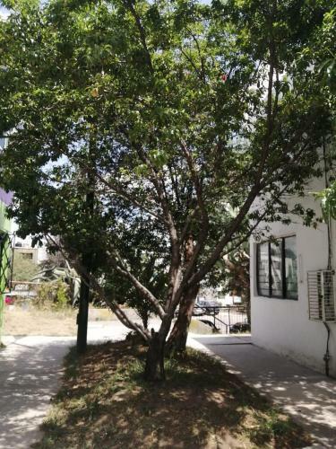 Apartamento Lina