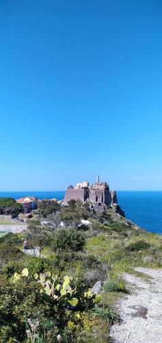 Apartamento Capraia Per Te
