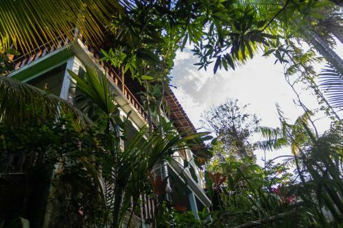 Hostal Casa Do Mato Itacar�