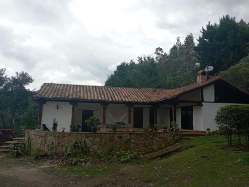 Ciervo Azul