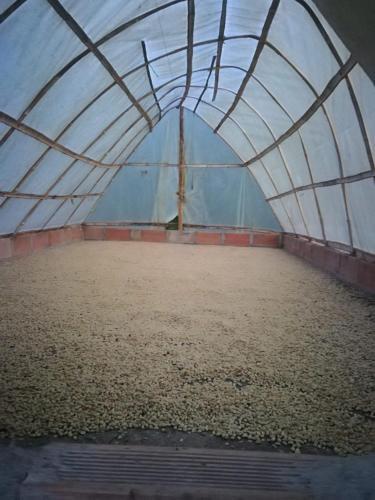 Finca Cafetera El Coral 2
