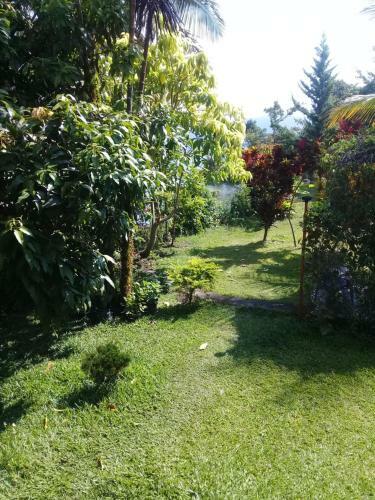 Hostal Merlyn Guest House