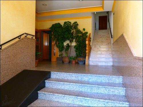 Hostal Vadillo