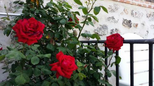 Hostal Chinchon